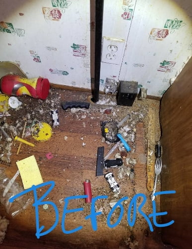 Rodent Control Before Cleanup