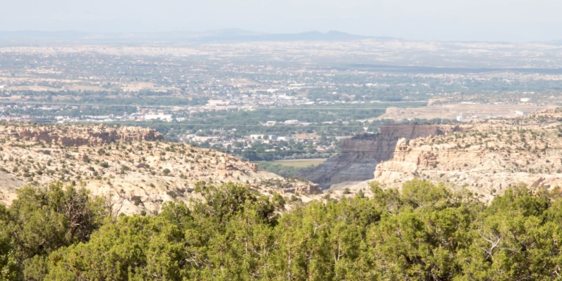 Why Pest Problems Are So Common in the Four Corners Region